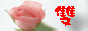 Kqۤp